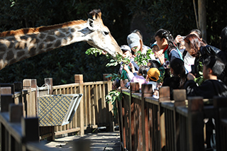 1763425532556665.jpg FV8A8632.JPG